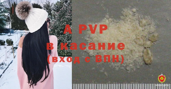 крисы Аркадак