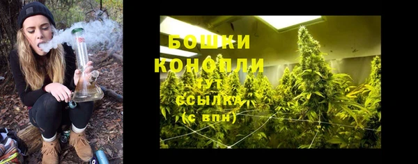 прущие грибы Арсеньев